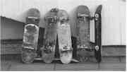 skatebo.jpg (2686 Byte)